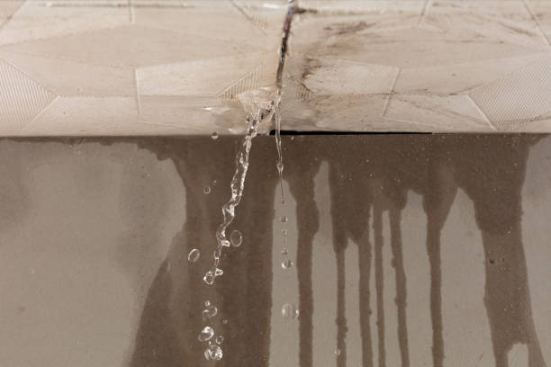 Professional Structural Drying technician working in Whitehall, MI